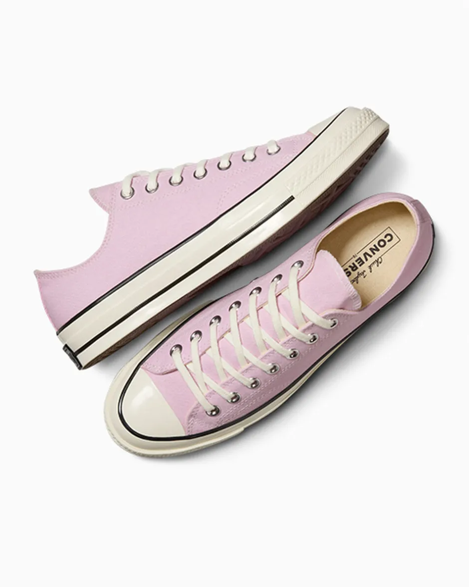 Converse Modelli Bassi<Chuck 70 Lilla polvere di stelle/Egret/Nero