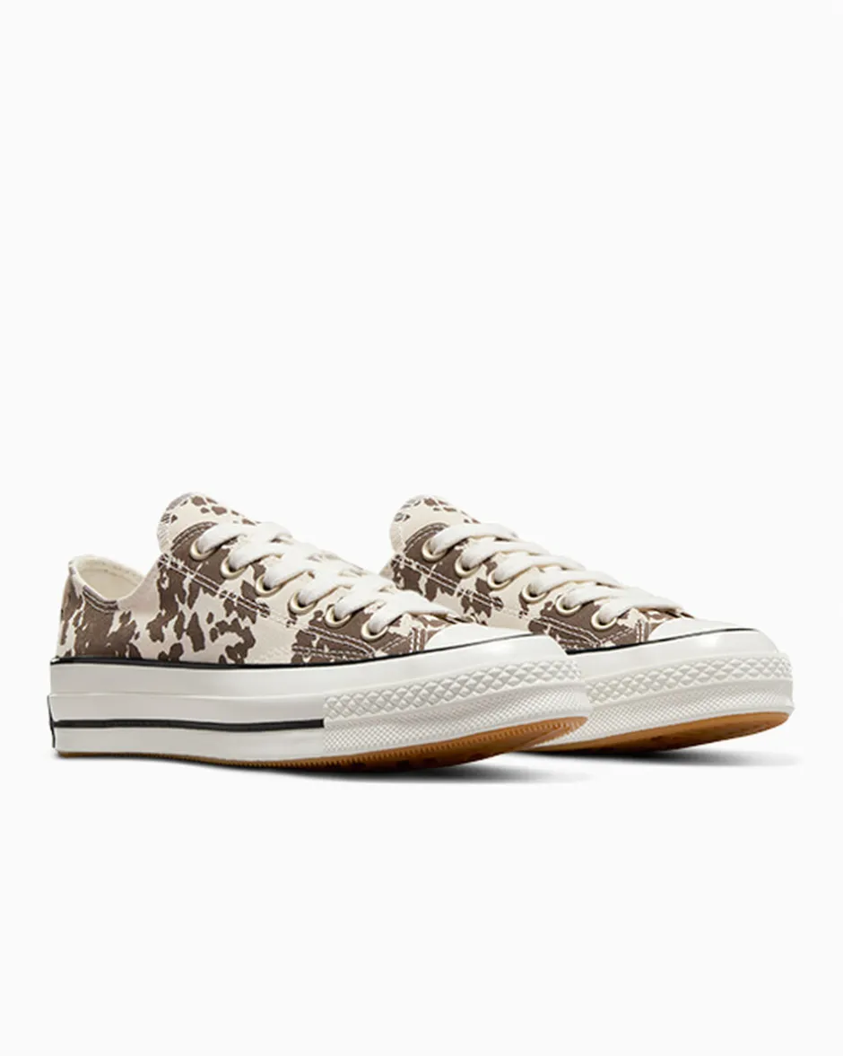 Converse Modelli Bassi|Chuck Taylor All Star<Chuck 70 Animal Print Egret/Marrone/Oro
