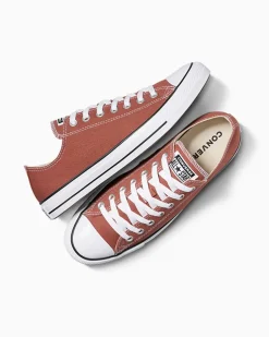Converse Modelli Bassi|Chuck Taylor All Star<Chuck Taylor All Star Nocciola