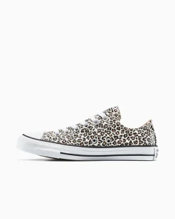 Converse Modelli Bassi|Modelli Bassi<Chuck Taylor All Star Leopard Nero/Duna costiera/Egret