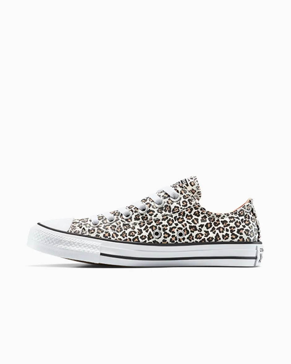 Converse Modelli Bassi|Modelli Bassi<Chuck Taylor All Star Leopard Nero/Duna costiera/Egret