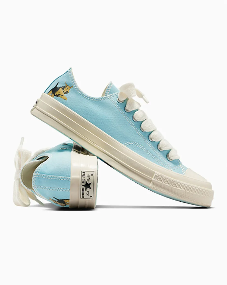 Converse Modelli Bassi|Modelli Bassi<x GOLF le FLEUR* Darryl Chuck 70 Milky Blue/Multi/Winter White