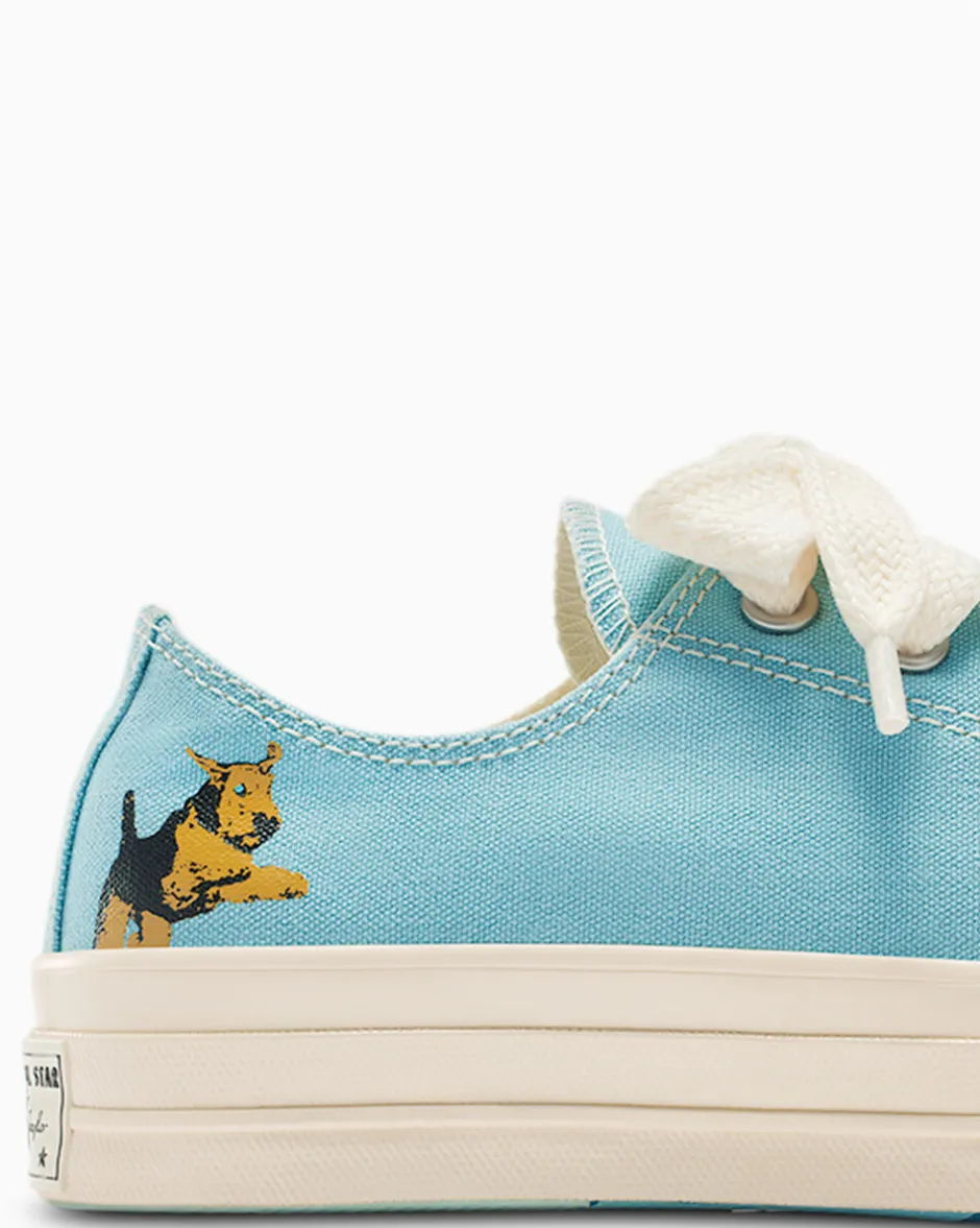 Converse Modelli Bassi|Modelli Bassi<x GOLF le FLEUR* Darryl Chuck 70 Milky Blue/Multi/Winter White