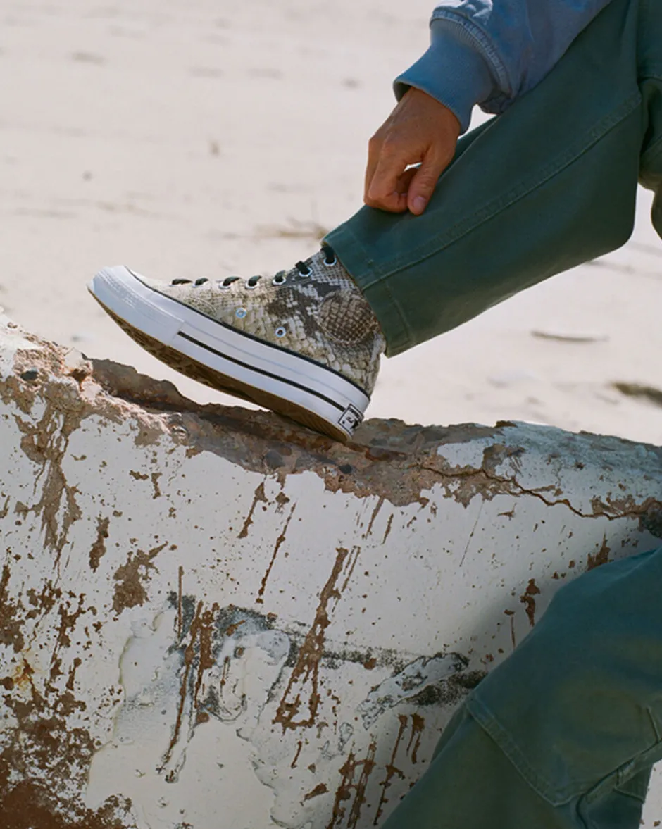 Converse Modelli Alti|Modelli Bassi<x Stüssy Chuck 70 Snakeskin darkroot