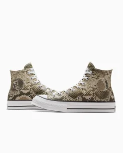 Converse Modelli Alti|Modelli Bassi<x Stüssy Chuck 70 Snakeskin darkroot